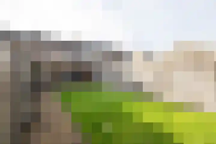 Flierakkers 4 Vroomshoop thumbnail 21