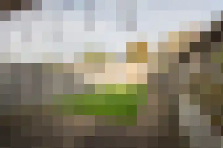 Flierakkers 4 Vroomshoop thumbnail 22