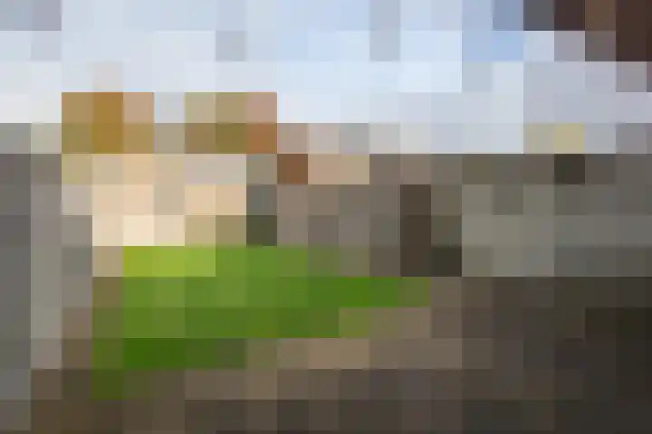 Flierakkers 4 Vroomshoop thumbnail 23