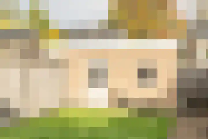 Flierakkers 4 Vroomshoop thumbnail 24