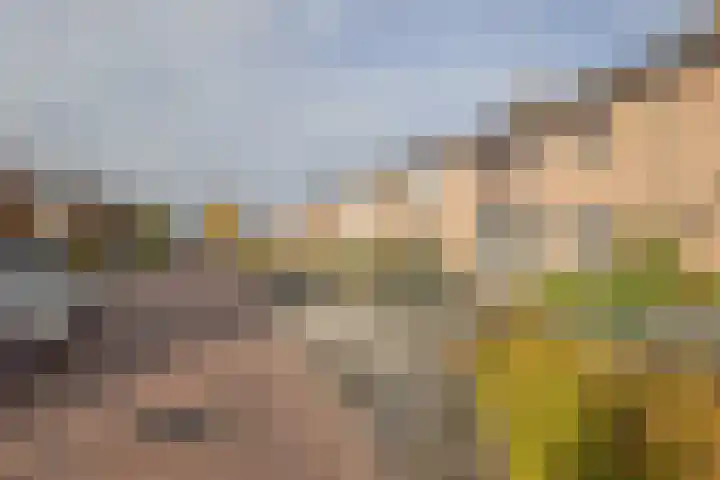 Flierakkers 4 Vroomshoop thumbnail 26