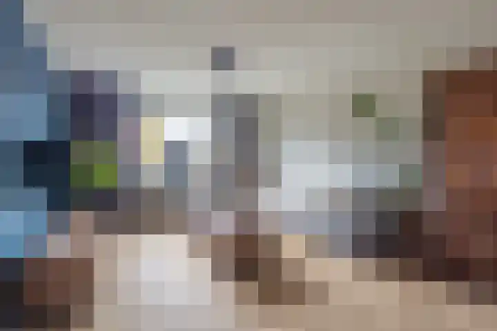 Flierakkers 4 Vroomshoop thumbnail 4