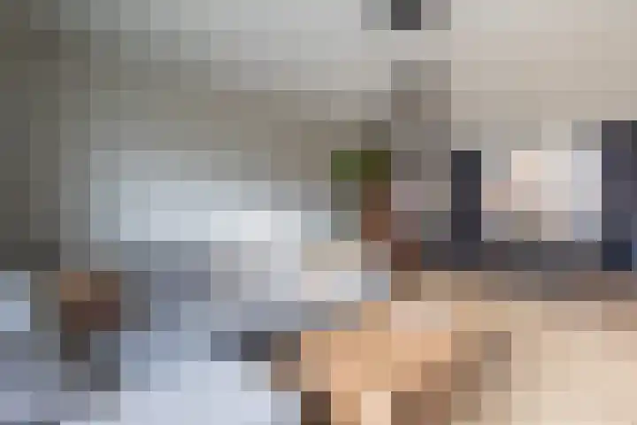 Flierakkers 4 Vroomshoop thumbnail 6