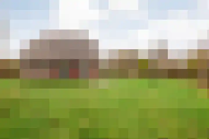 Flierdijk 3 rw22 Den Ham thumbnail 38