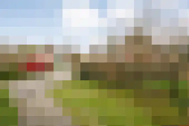 Flierdijk 3 rw22 Den Ham thumbnail 4