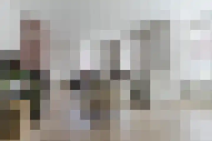 Fliere 33 Gemert thumbnail 10