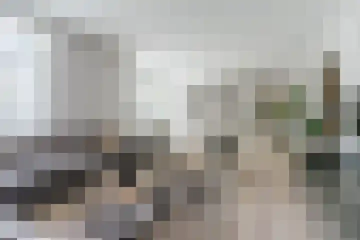 Fliere 33 Gemert thumbnail 11