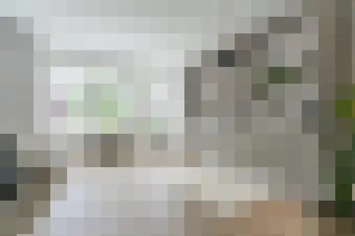 Fliere 33 Gemert thumbnail 12