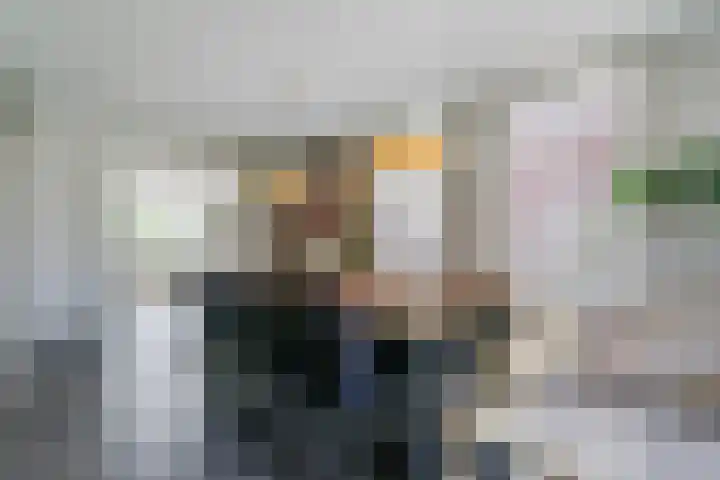Fliere 33 Gemert thumbnail 15