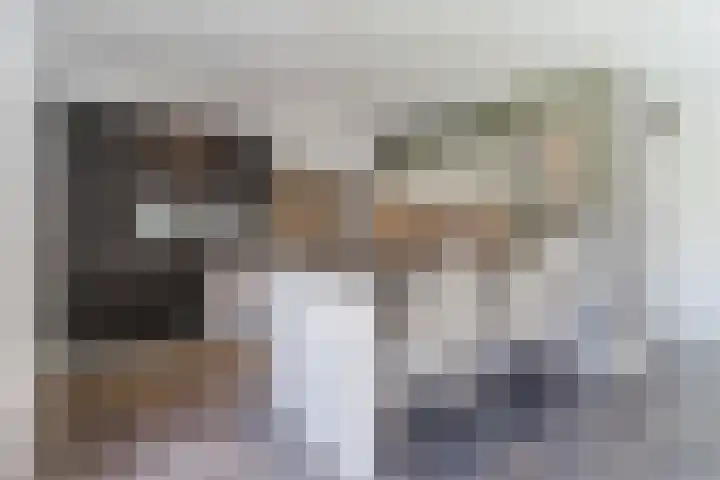 Fliere 33 Gemert thumbnail 17