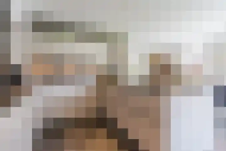 Fliere 33 Gemert thumbnail 18