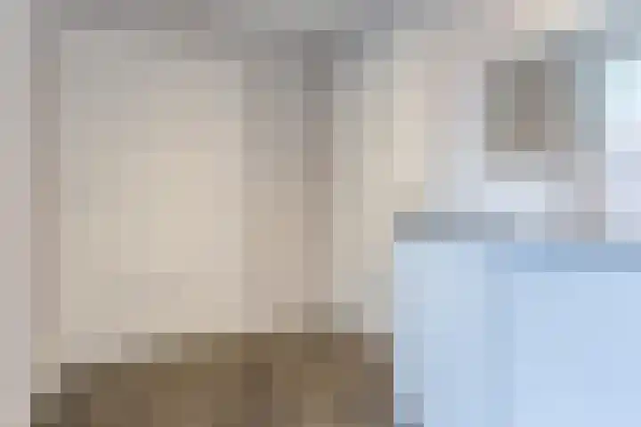 Fliere 33 Gemert thumbnail 21