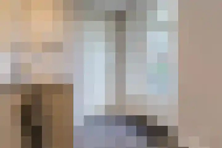 Fliere 33 Gemert thumbnail 22