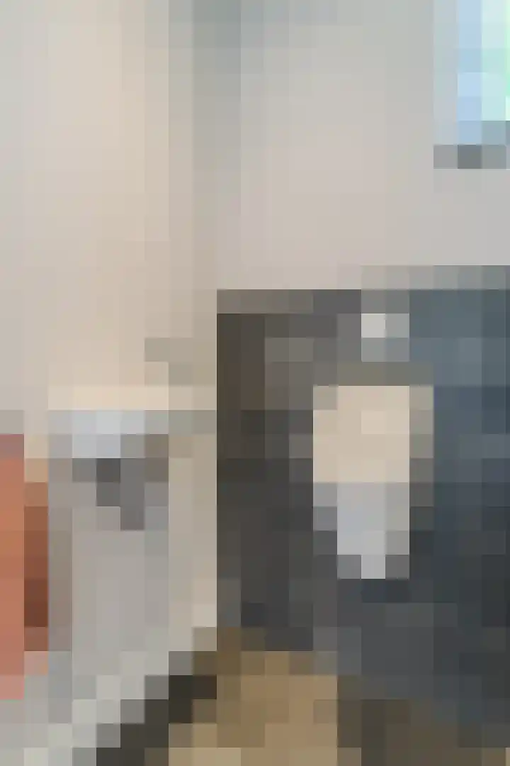 Fliere 33 Gemert thumbnail 24
