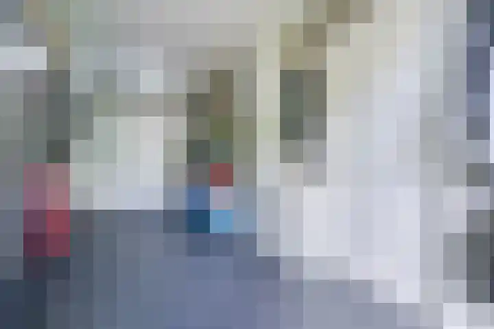 Fliere 33 Gemert thumbnail 26
