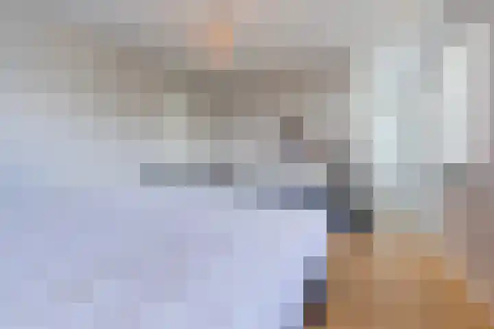 Fliere 33 Gemert thumbnail 32