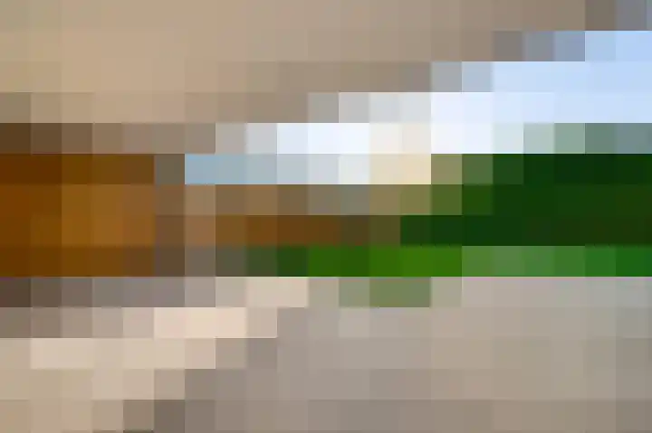 Fliere 33 Gemert thumbnail 35