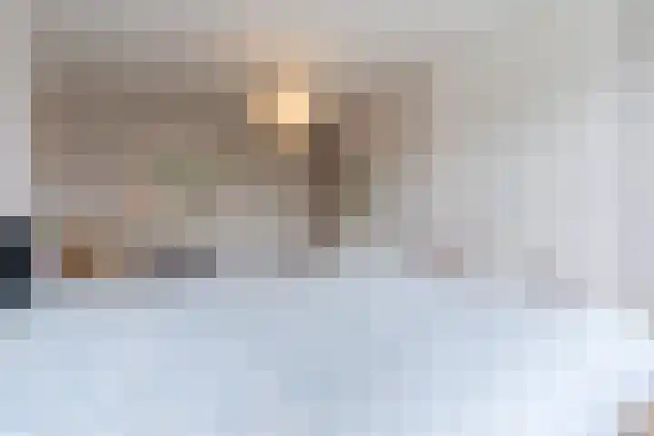 Fliere 33 Gemert thumbnail 38
