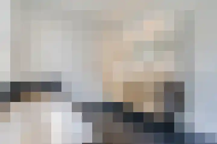 Fliere 33 Gemert thumbnail 39