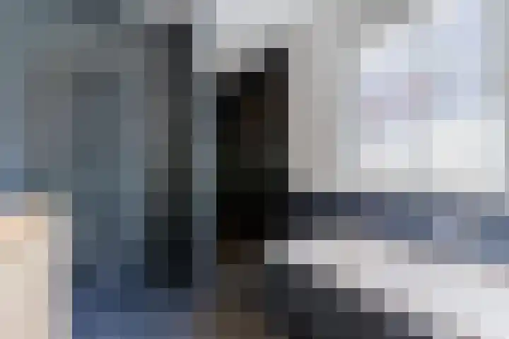 Fliere 33 Gemert thumbnail 40