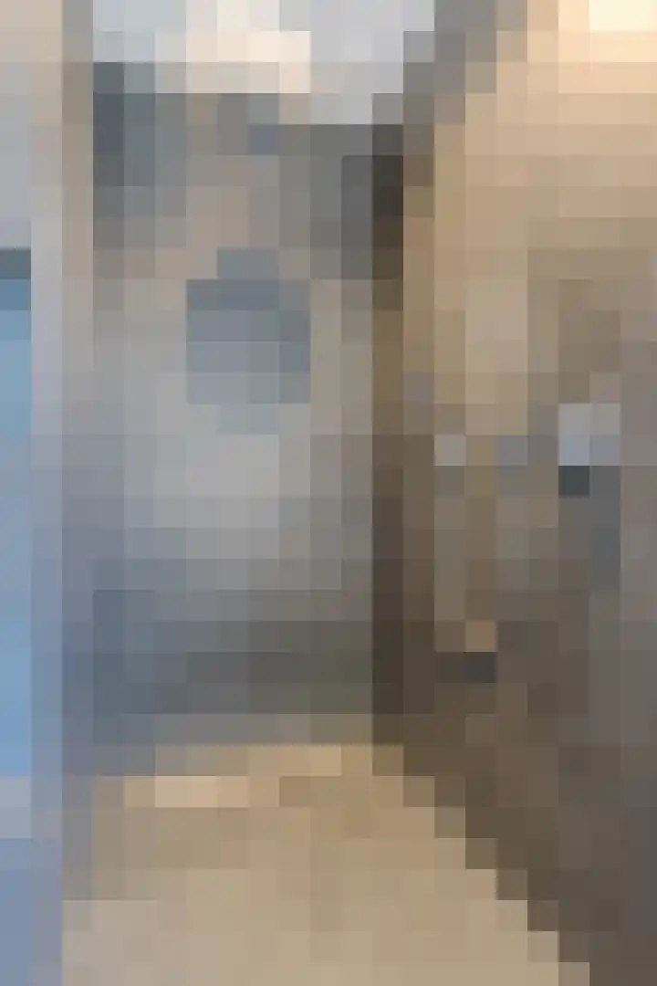 Fliere 33 Gemert thumbnail 41