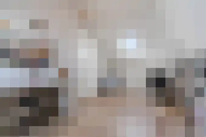 Fliere 33 Gemert thumbnail 44