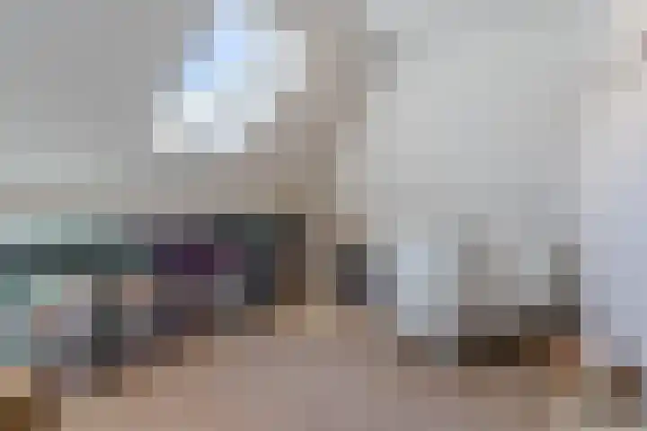 Fliere 33 Gemert thumbnail 45