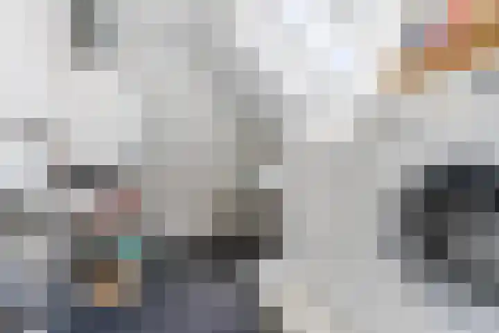 Fliere 33 Gemert thumbnail 47