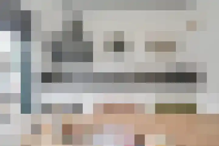 Fliere 33 Gemert thumbnail 48