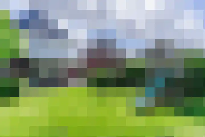 Fliere 33 Gemert thumbnail 48