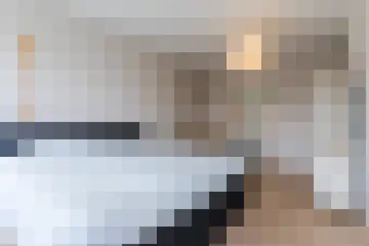 Fliere 33 Gemert thumbnail 5