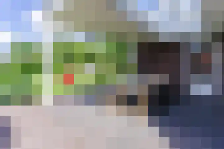Fliere 33 Gemert thumbnail 50