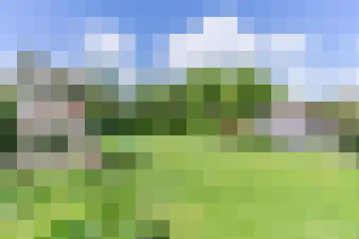 Fliere 33 Gemert thumbnail 51