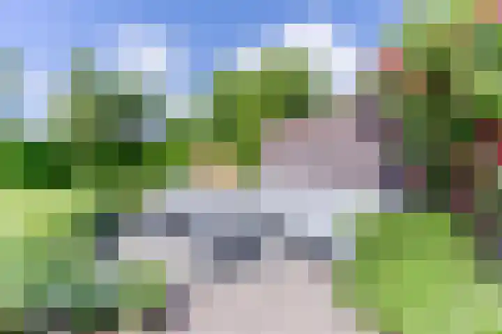 Fliere 33 Gemert thumbnail 53