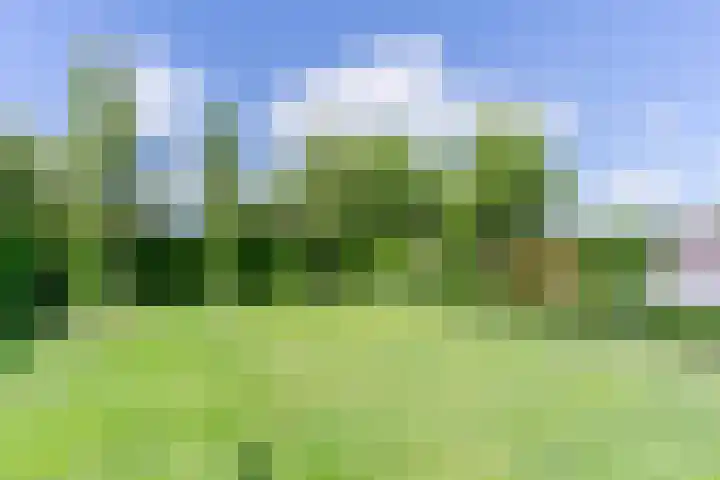 Fliere 33 Gemert thumbnail 54