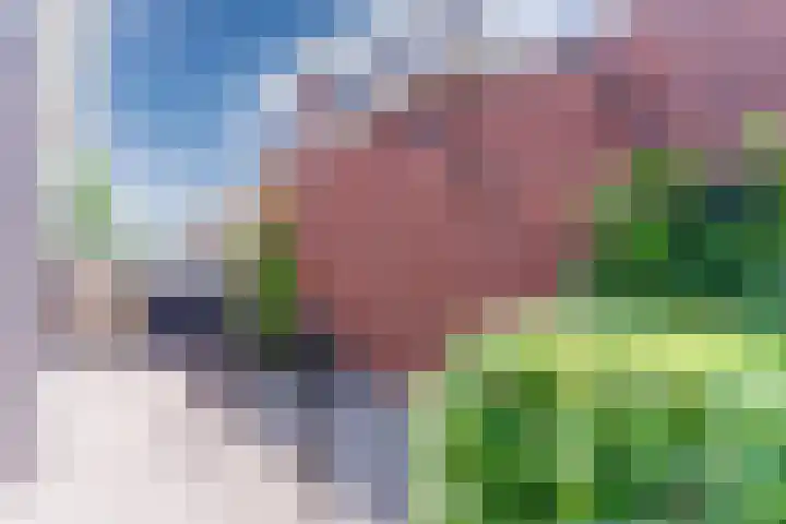 Fliere 33 Gemert thumbnail 57