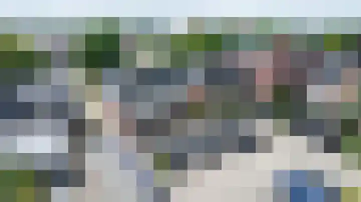 Fliere 33 Gemert thumbnail 6