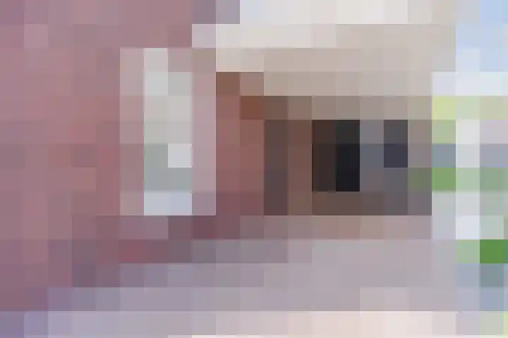 Fliere 33 Gemert thumbnail 6