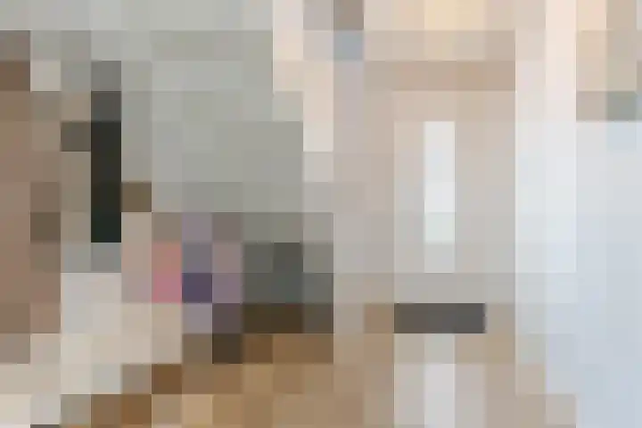 Fliere 33 Gemert thumbnail 7