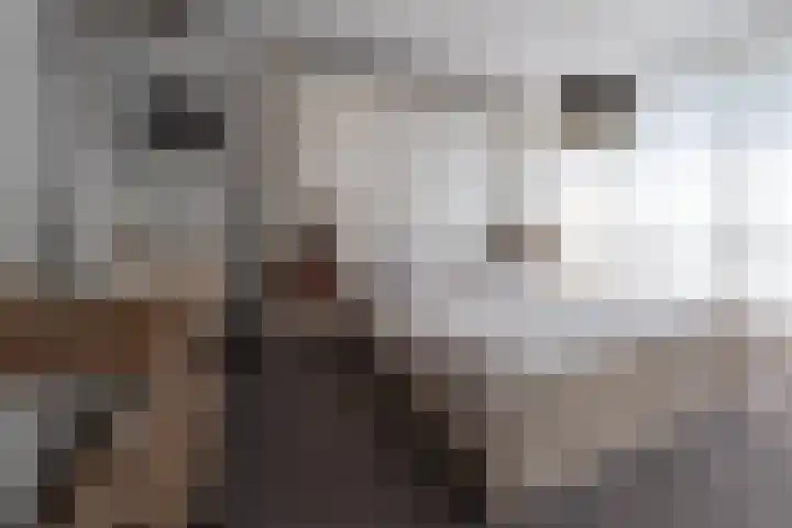 Fliksakkers 1 Peize thumbnail 15