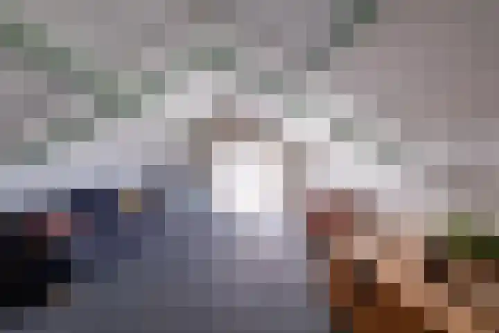 Fliksakkers 1 Peize thumbnail 24