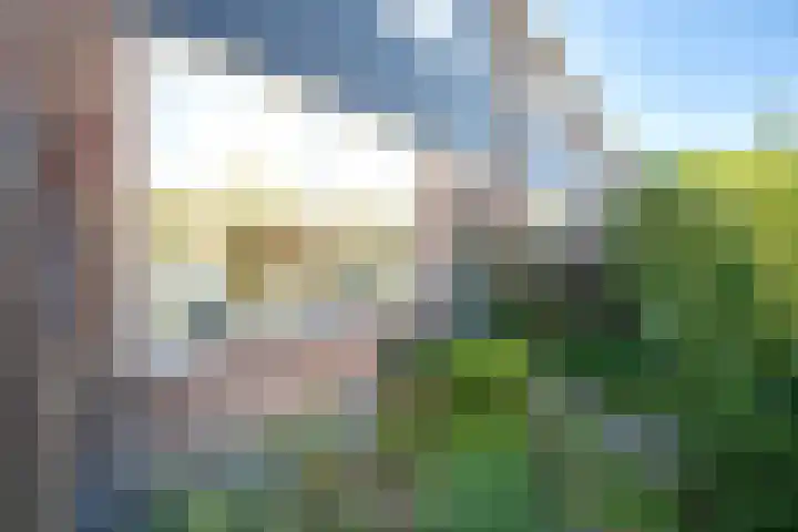 Fliksakkers 1 Peize thumbnail 26