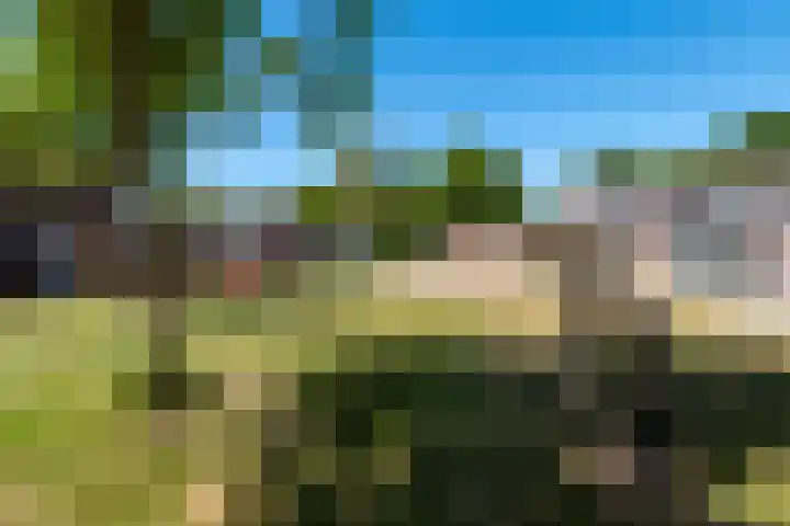 Fliksakkers 1 Peize thumbnail 34