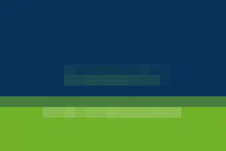 Fliksakkers 1 Peize thumbnail 5