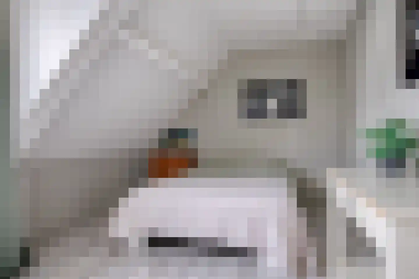 Flins 18 Leende thumbnail 34
