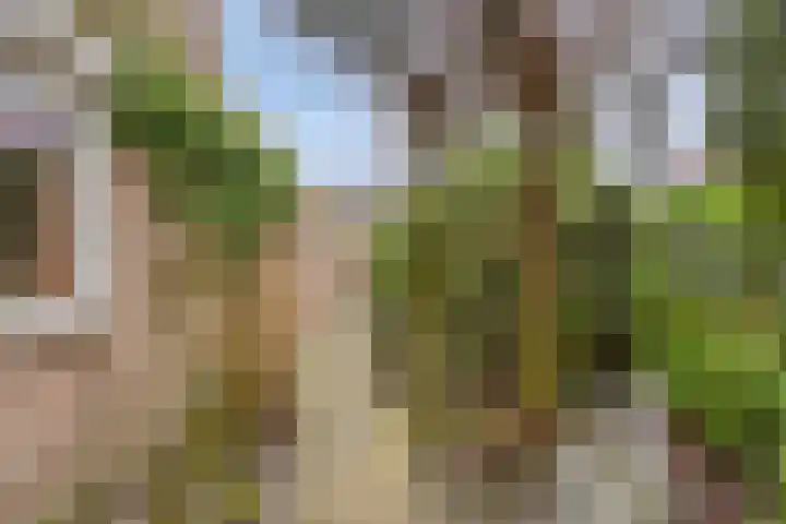 Flintdijk 20 Roosendaal thumbnail 43