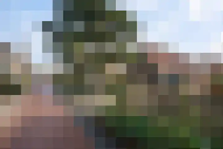 Team foto van Floor Real Estate