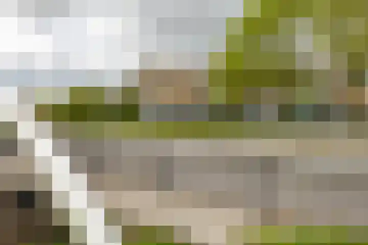 Florakade 54 Groningen thumbnail 10