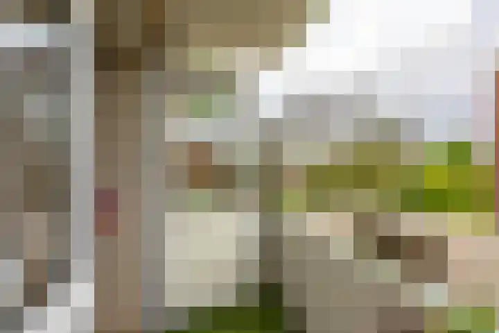 Florakade 54 Groningen thumbnail 28