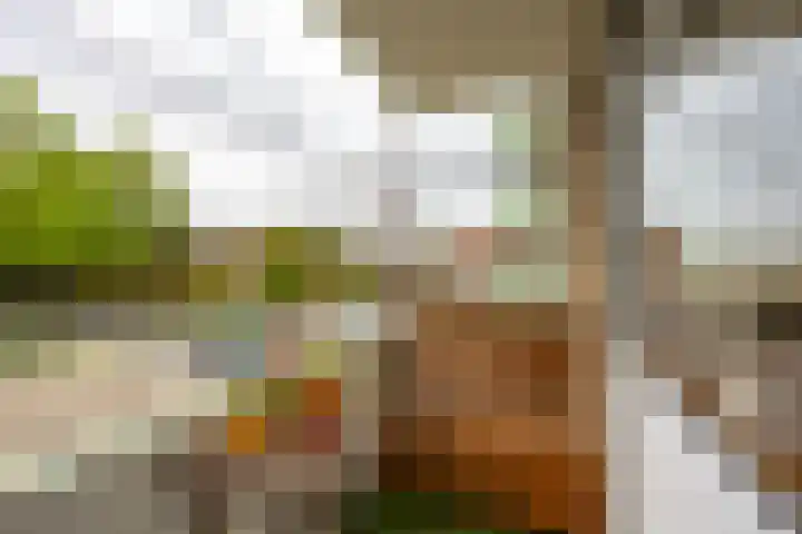 Florakade 54 Groningen thumbnail 6
